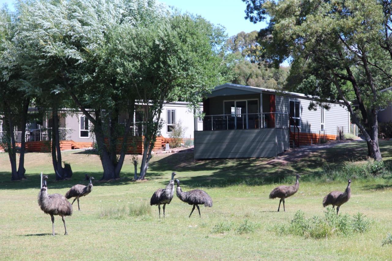 Hotel Halls Gap Lakeside Tourist Park Zewnętrze zdjęcie